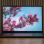 ASUS ProArt P16 (2026)