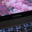 ASUS ProArt P16 (2026)