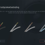 Denon Setup Assistant