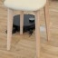 Dreame X60 Pro robotstofzuiger