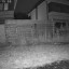 Tapo C520WS beeld 's nachts