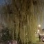 Galaxy S26 Plus - buiten - avond - 2x