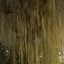 Galaxy S26 Plus - buiten - avond - 3x