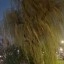 Galaxy S26 Ultra - buiten - avond - 2x
