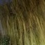 Galaxy S26 Ultra - buiten - avond - 3x