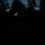 Google Pixel 8a avondfoto zonder nachtmodus