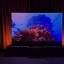 Hisense L9Q beeld