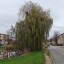 OnePlus 15 - avond - buiten - overdag - 1x