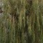 OnePlus 15 - avond - buiten - overdag - 3,5x