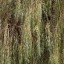 OnePlus 15 - avond - buiten - overdag - 7x