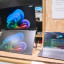 Acer PD243Y