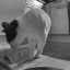Beeld van de Philips Smart Pet Feeder PAW5320 - met infrarood