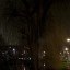 Pixel 10 Pro - avond - buiten - 2x