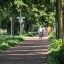 Pixel 10 Pro - overdag - buiten - 10x