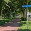 Pixel 10 Pro - overdag - buiten - 2x