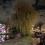 Pixel 10a - buiten - avond - 1x