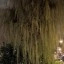 Pixel 10a - buiten - avond - 2x