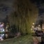Pixel 6a - buiten - avond - 1x