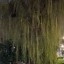 Pixel 6a - buiten - avond - 2x