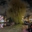 Pixel 9a - buiten - avond - 1x