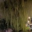 Pixel 9a - buiten - avond - 2x
