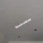 Blackview PV1000 Max ingebruikname