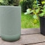 Sonos Move 2