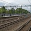 Google Pixel 7 - foto buiten (1) 2x zoom 