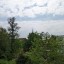 Google Pixel 7 - foto buiten (4) 1x zoom 