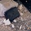 Cat Q10 5G hotspot