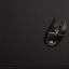 Corsair Darkstar Wireless