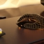 Corsair Darkstar Wireless