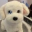Ecovacs Lil Milo (2)
