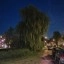 Foto gemaakt met Razr 50 Ultra avond 1x