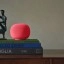 Google Home Speaker - Berry