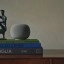 Google Home Speaker - Hazel(2)