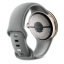 Google Pixel Watch 3 41mm Grijsgroen