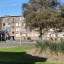 Motorola Edge 40 Neo Dagfoto 1 - 1x (hoofdcamera, 1x zoom)