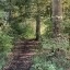 Motorola Edge 40 Neo Dagfoto 4 - 2x (hoofdcamera, 2x zoom)