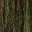 Motorola Edge 70 -  avond - buiten - 10x