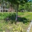 Foto gemaakt met Motorola Edge 40 - standaardlens