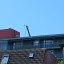 Foto gemaakt met Motorola Edge 40 - standaardlens 5x zoom