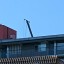 Foto gemaakt met Motorola Edge 40 - standaardlens 8x zoom (2)