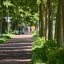 Oppo Find X9 Ultra - overdag - buiten - 10x