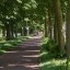 Oppo Find X9 Ultra - overdag - buiten - 5x