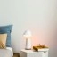 Philips Hue Twilight