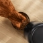 De brede bak moet ervoor zorgen dat katten geen last van hun snorharen krijgen.