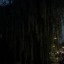 Pixel 10a - avond - buiten - 2x