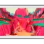Samsung The Frame Pro
