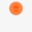 JBL Tune Flex - Headphones app